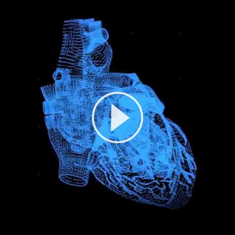 Färdiga hologram hjärta till hologram fläkt Smart 3D Holo