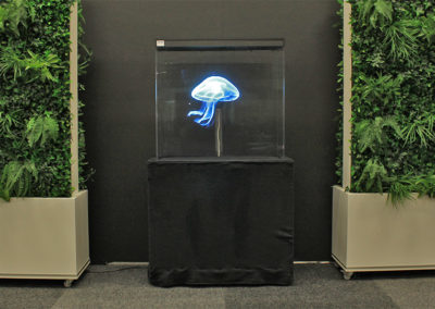 Blå manet hologram som utsmyckning event Smart 3d Holo hologramfläkt