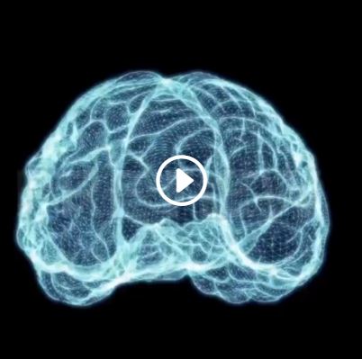 Färdiga hologram. Hjärna som hologram som snurrar med LED fläkt