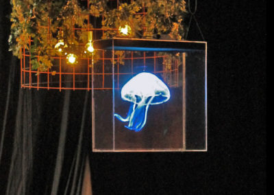 Hologram hängande blå manet Smart 3D Holo. Hologram fläkt